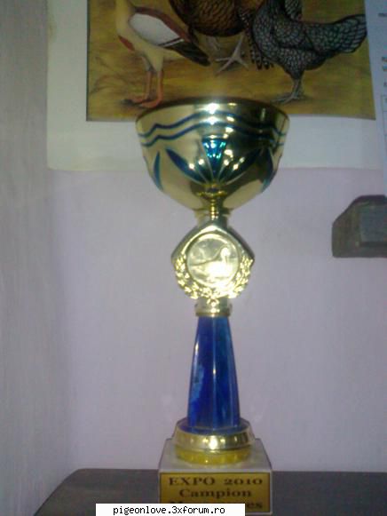 cupe medali castigate voi!! cupa capmion rasa lahore 2010!!
