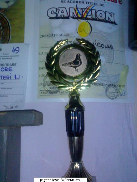 Cupe si Medali castigate de voi!! - Cupa pt Campion la rasa LAHORE 2011 - Porumbei de ornament